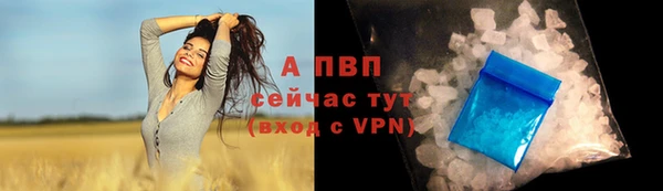прущие грибы Армянск