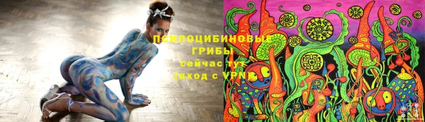 прущие грибы Армянск